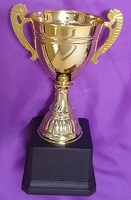 Metal Cup Trophy 3